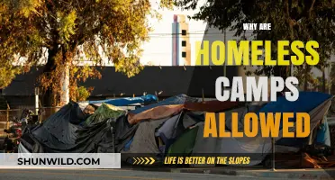 Understanding the Complexities: Why Homeless Camps Persist in Urban Areas