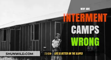 The Injustice of Internment Camps: A Historical Reflection