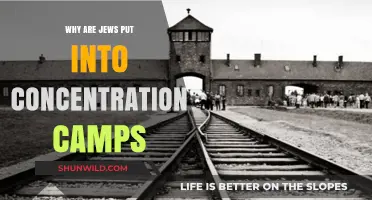 Understanding the Historical Persecution of Jews in Concentration Camps