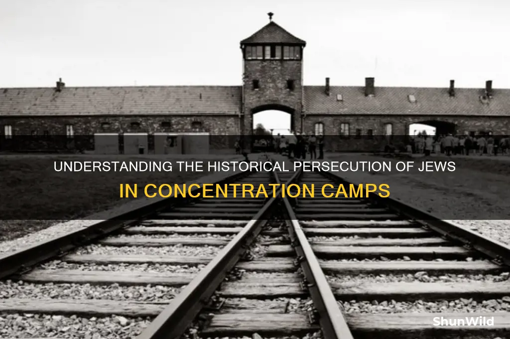 why are jews put into concentration camps