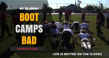 Juvenile Boot Camps: Harmful Impacts on Youth and Society