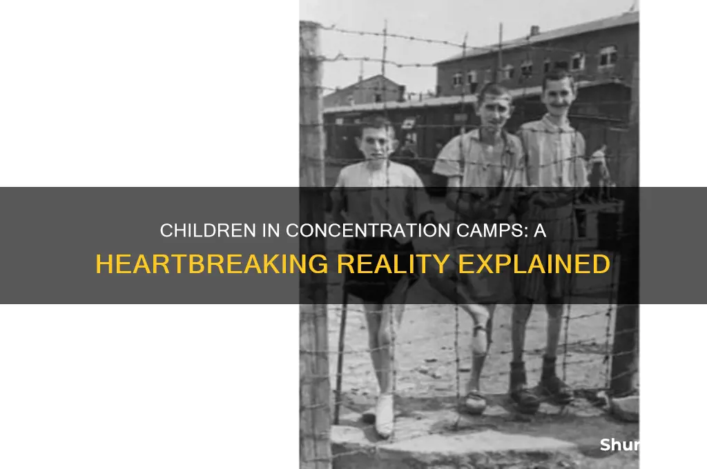 why are kids in concentration camps