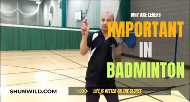 Leverage Badminton Success: Understanding the Importance of Levers