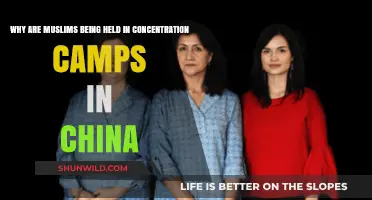 China's Uyghur Crisis: The Hidden Reality of Muslim Detention Camps