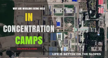 China's Uyghur Crisis: Concentration Camps and Muslim Persecution Explained