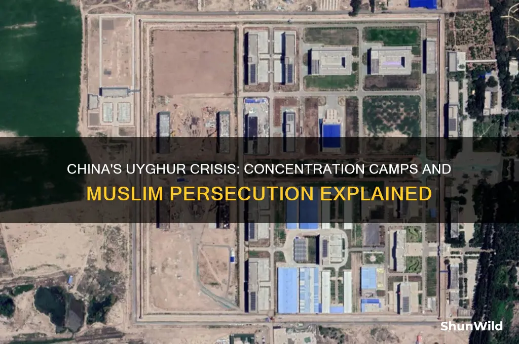 why are muslims being held in concentration camps
