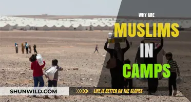 Understanding the Plight: Why Are Muslims in Camps?