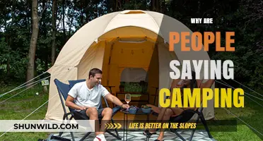 Unpacking the Buzz: Why Camping is Trending in 2024