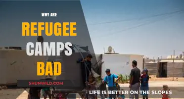 The Hidden Struggles: Why Refugee Camps Fail to Provide a Safe Haven