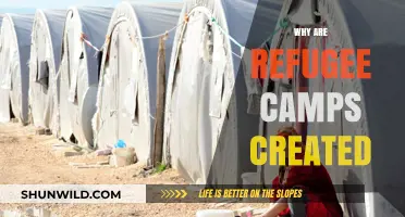 Understanding the Necessity: Why Refugee Camps Are Established