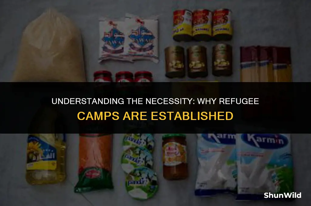 why are refugee camps created