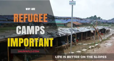 Hope and Haven: The Indispensable Role of Refugee Camps
