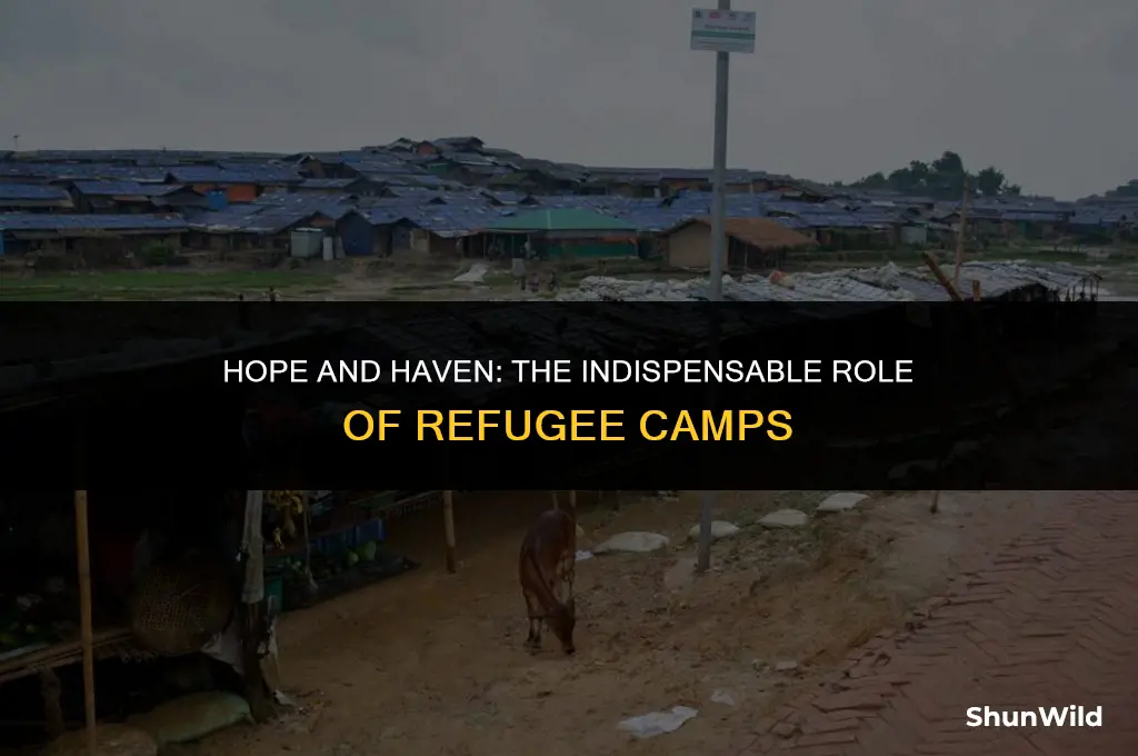 why are refugee camps important