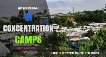 Rohingya Crisis: The Brutal Reality of Concentration Camps Explained