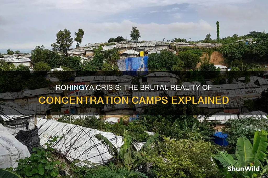 why are rohingyas in concentration camps