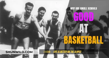 Small Schools, Big Hoops: Secrets to Basketball Success
