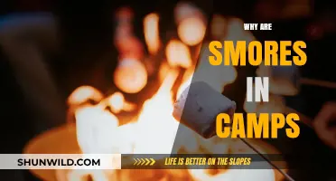 The Timeless Tradition of S'mores at Summer Camps