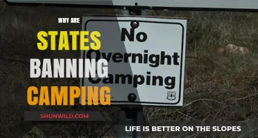 Exploring the Reasons Behind State-Wide Camping Bans