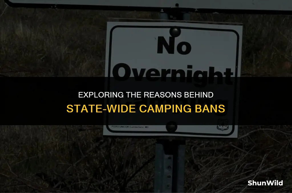 why are states banning camping