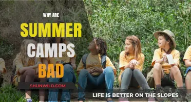 The Hidden Downsides of Summer Camp: A Critical Perspective