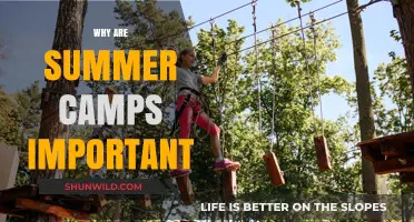 Unlocking Potential: The Indispensable Role of Summer Camps
