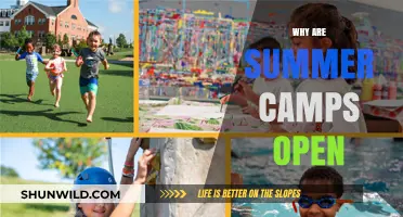 Why Summer Camps Remain Open: A Comprehensive Guide for Parents