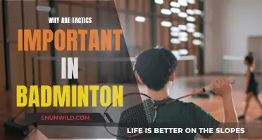 Tactics in Badminton: Strategies for Winning