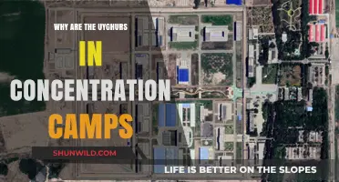 Uyghur Concentration Camps: Understanding China's Repression and Global Silence