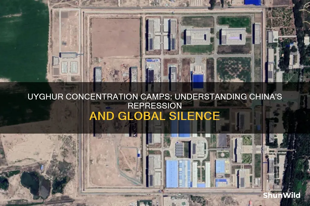 why are the uyghurs in concentration camps