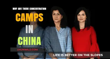 China's Uyghur Detention Camps: Uncovering the Hidden Truth and Global Concerns