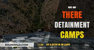 Unveiling the Truth: The Controversial Reality of Detention Camps