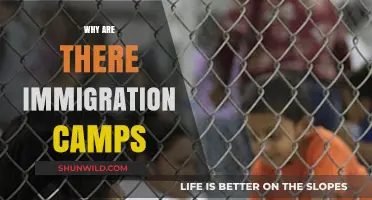 Understanding the Purpose and Impact of Immigration Detention Centers