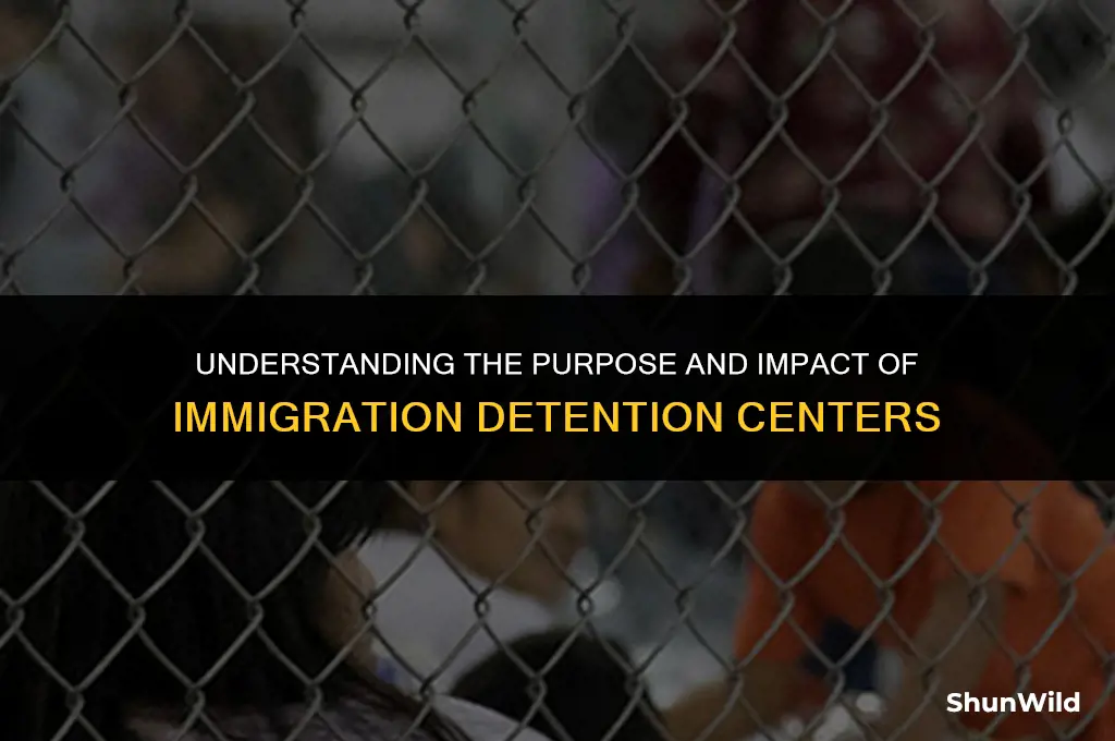 why are there immigration camps