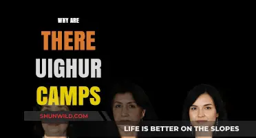 Understanding the Uyghur Camps: A Humanitarian Crisis Unfolds