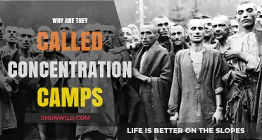 Unveiling the Origins: Why 'Concentration Camps' Got Their Name