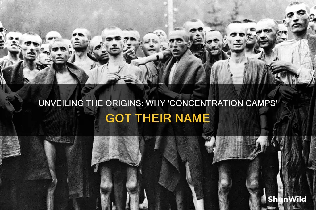 why are they called concentration camps