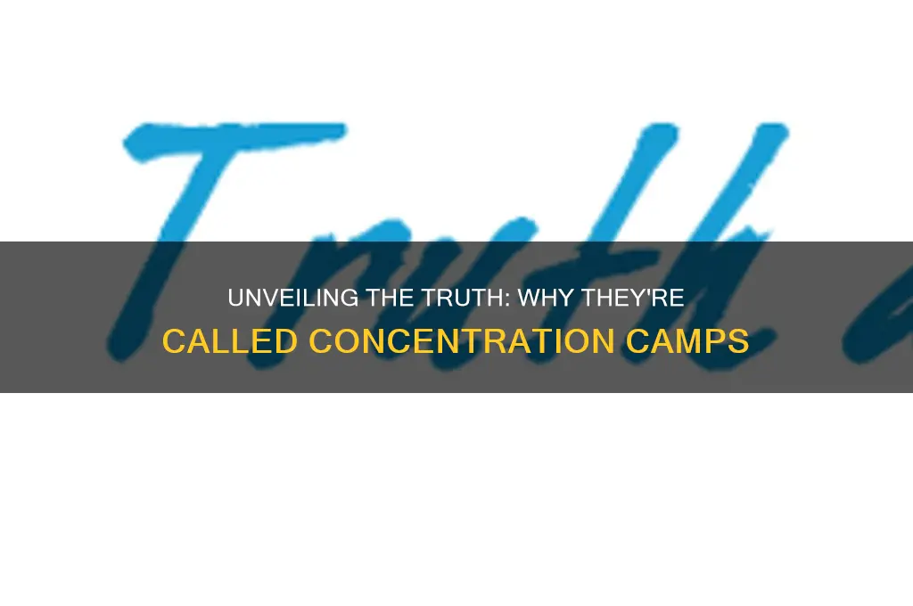 why are they concentration camps