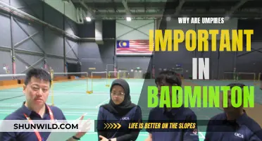 Umpires: The Unsung Heroes of Badminton