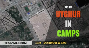 The Unseen Plight: Uyghur Detention Camps and Global Response