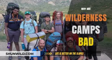 The Hidden Dangers of Wilderness Camps: A Critical Perspective