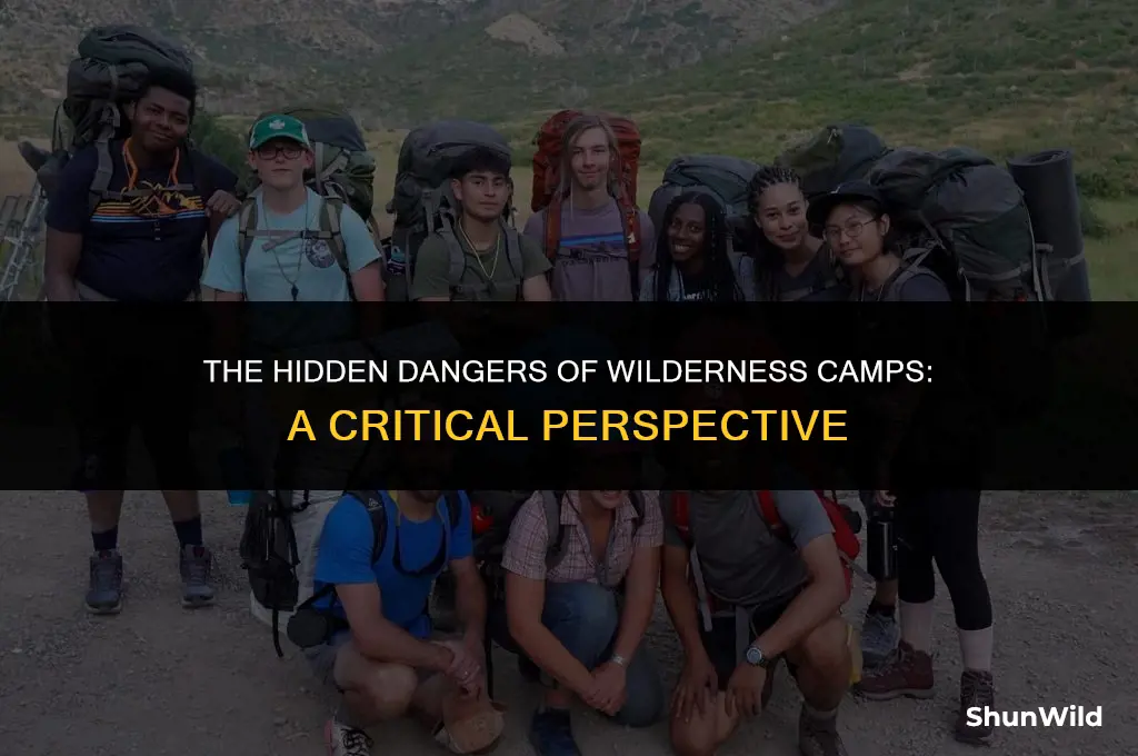 why are wilderness camps bad