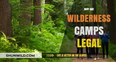 Unraveling the Legality of Wilderness Camps: A Comprehensive Guide