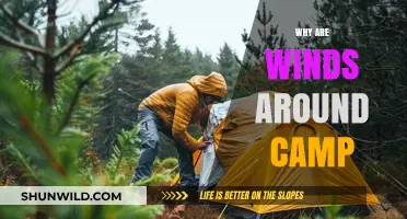 Exploring the Breezy Mysteries: Why Winds Surround Your Campsite