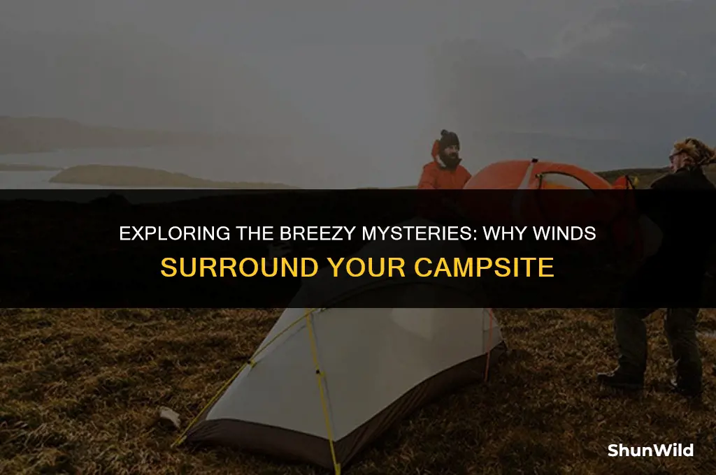 why are winds around camp