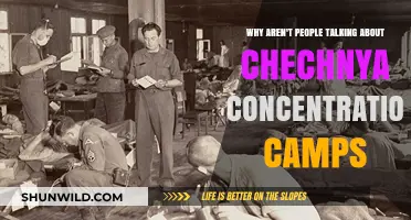 Chechnya's Hidden Atrocities: Why the Silence on Concentration Camps?