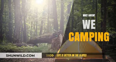 Why Aren't We Camping: Unraveling the Mysteries of Outdoor Hesitance