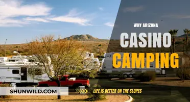 Desert Dreams: The Allure of Arizona Casino Camping