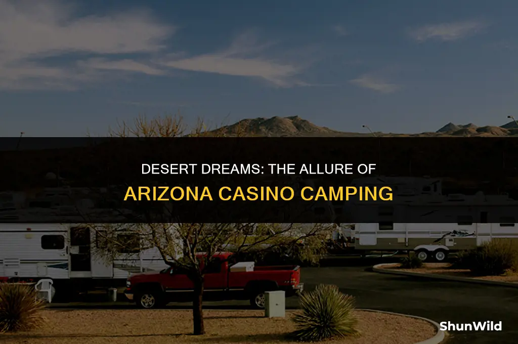 why arizona casino camping