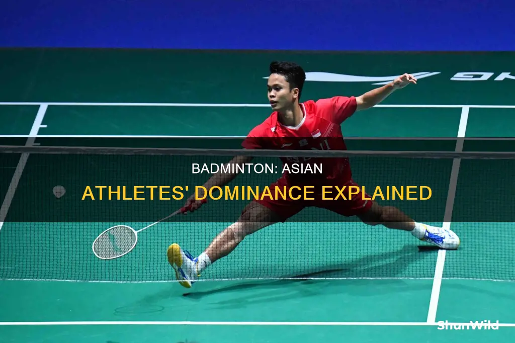 why asian dominates badminton