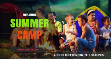Unforgettable Adventures Await: Discover the Joy of Summer Camp